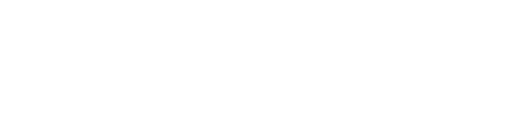 Project Logo